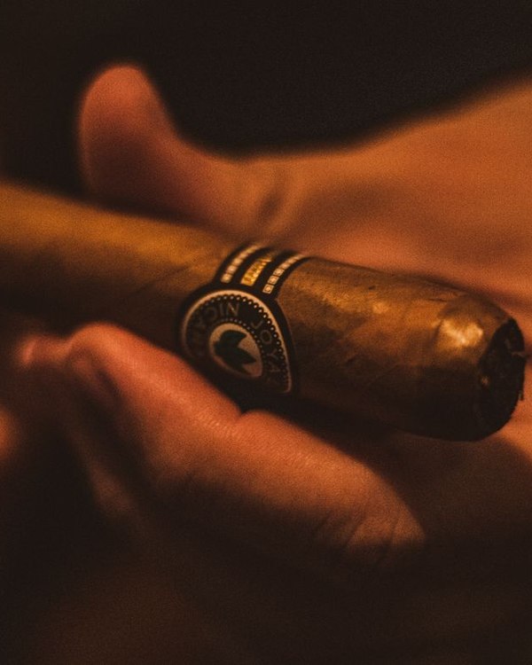 Charuto na mão, em luz quente, junto a um humidor Palazzo Cave